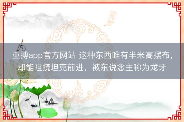 亚搏app官方网站 这种东西唯有半米高摆布，却能阻挠坦克前进，被东说念主称为龙牙