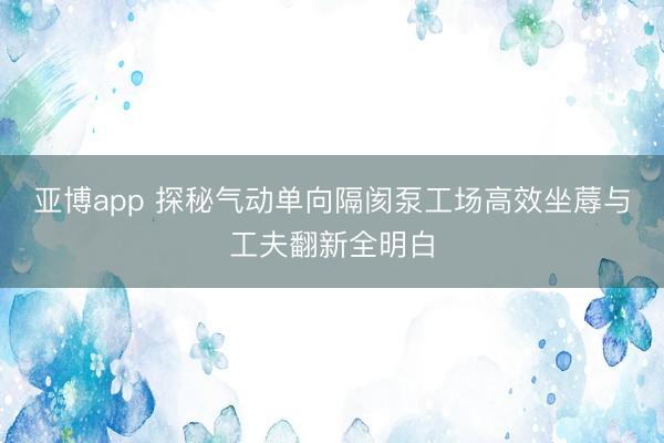 亚博app 探秘气动单向隔阂泵工场高效坐蓐与工夫翻新全明白