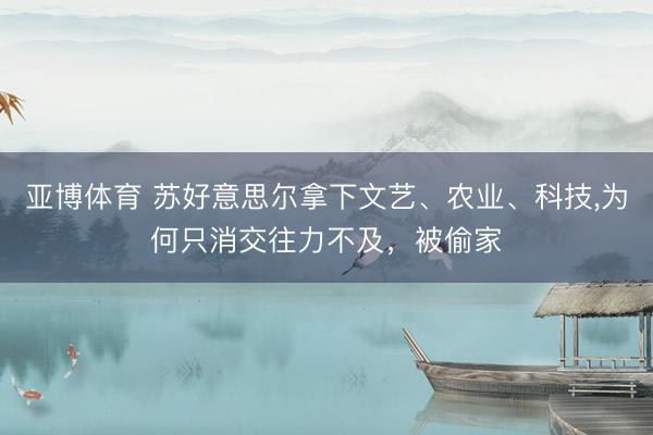 亚博体育 苏好意思尔拿下文艺、农业、科技，为何只消交往力不及，被偷家