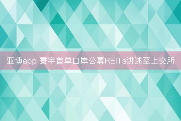 亚博app 寰宇首单口岸公募REITs讲述至上交所
