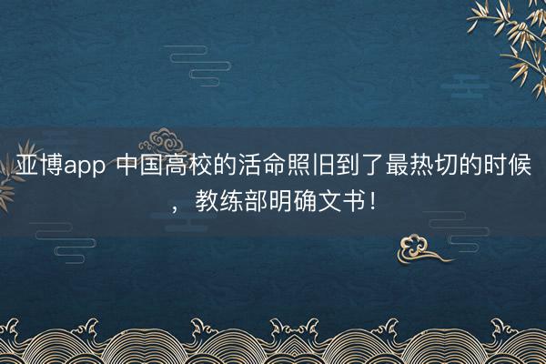 亚博app 中国高校的活命照旧到了最热切的时候，教练部明确文书！